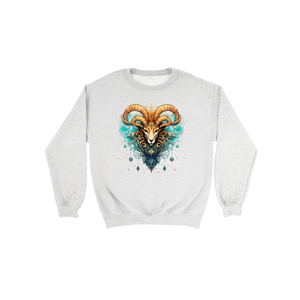 Sweatshirts-Aries