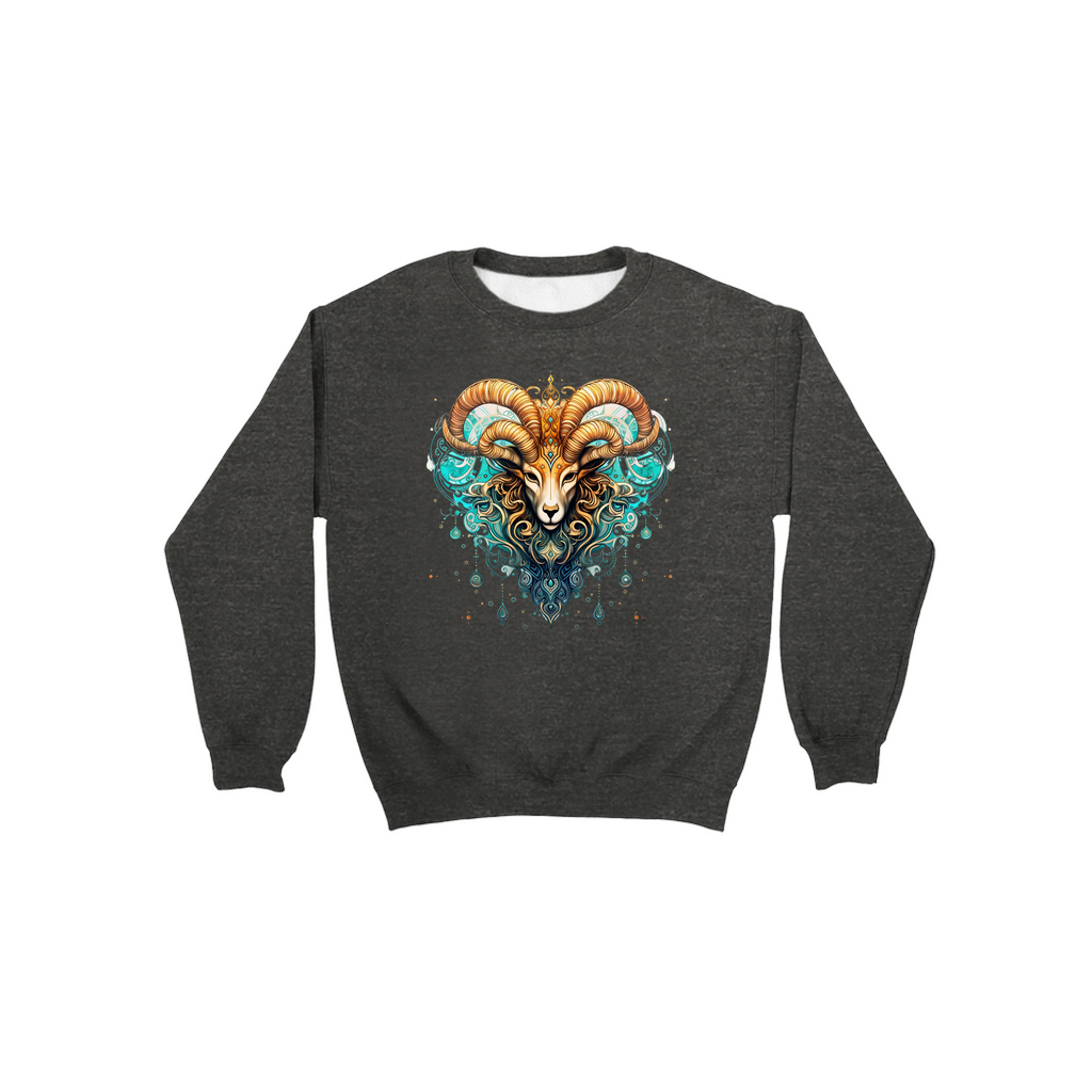 Sweatshirts-Aries