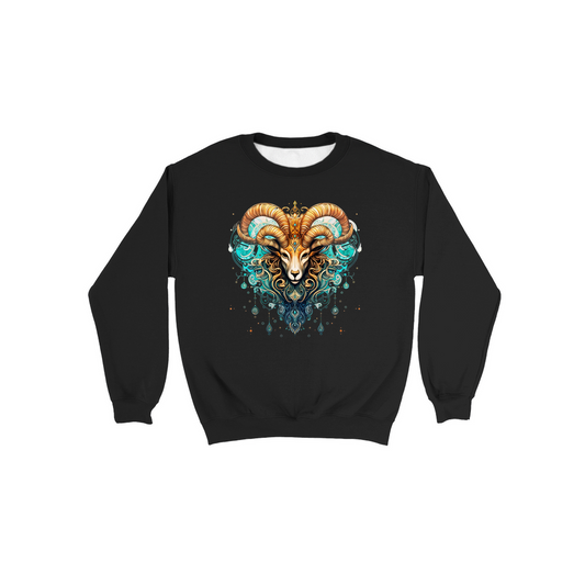 Sweatshirts-Aries
